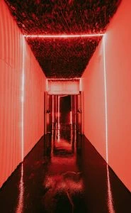 Galería de Espacio Bassement Club, imagen 10