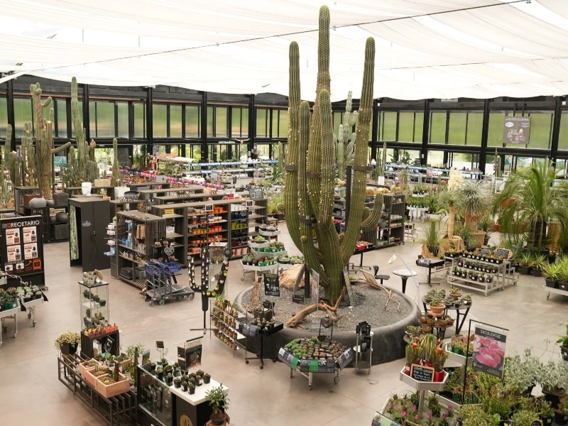 Galería de Espacio Desert CITY, imagen 2