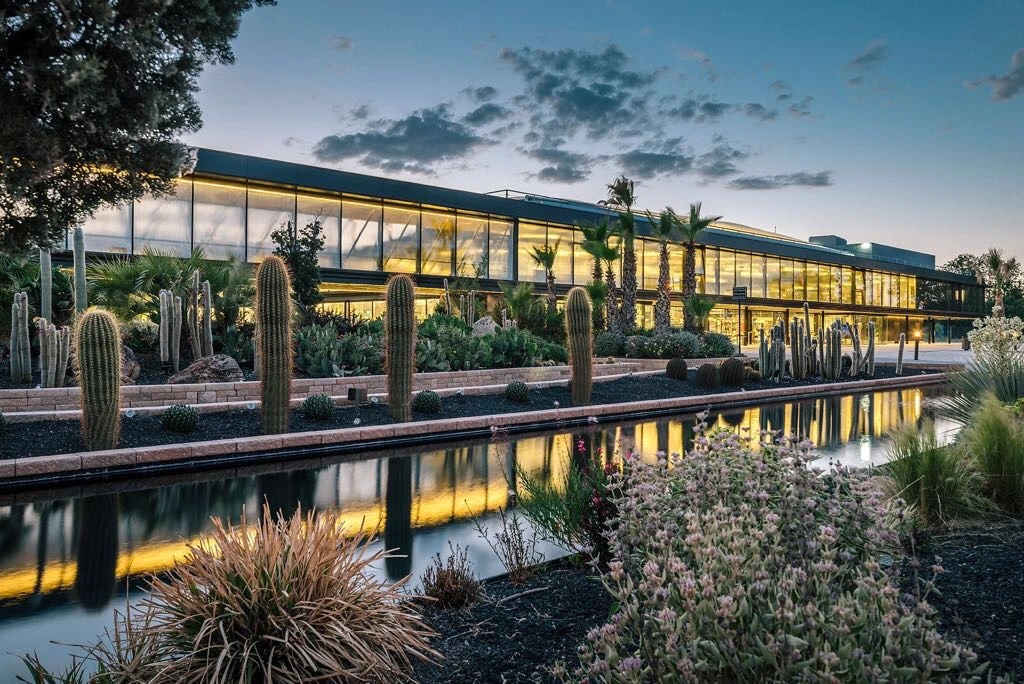 Galería de Espacio Desert CITY, imagen 3