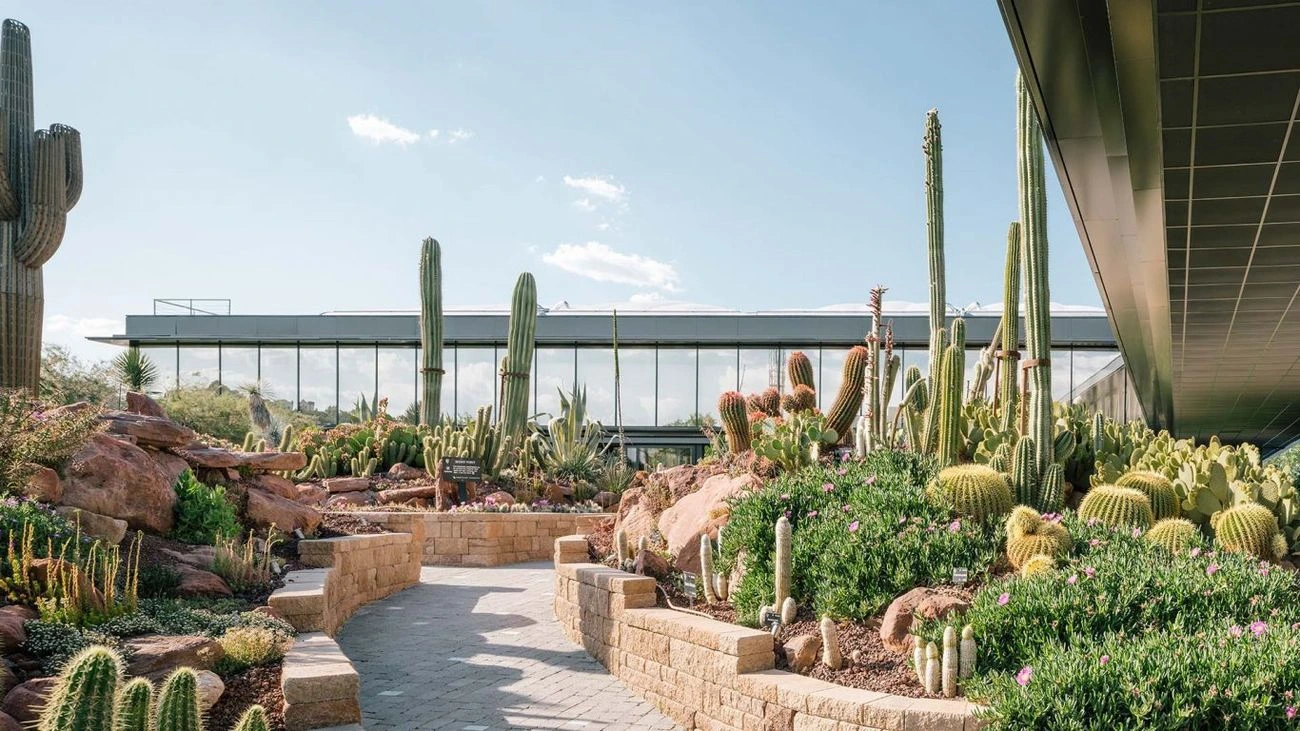 Galería de Espacio Desert CITY, imagen 4