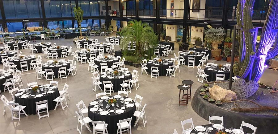 Galería de Espacio Desert CITY, imagen 7