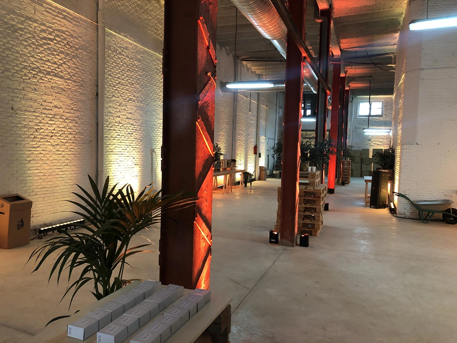 Galería de Espacio Jorge Juan (Capicúa 101), imagen 14