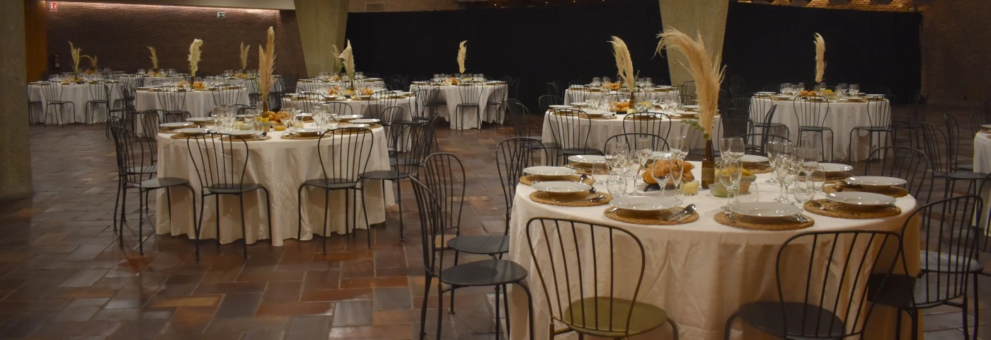 Galería de Espacio Pablo VI, imagen 14